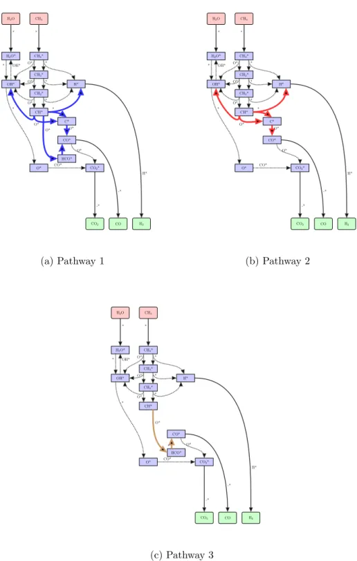 Figure 5: Reaction pathways for steam reforming of methane on rhodium (Example 2). Pathway 1 involves both species C* and HCO*, Pathway 2 excludes HCO*, and Pathway 3 excludes C* species