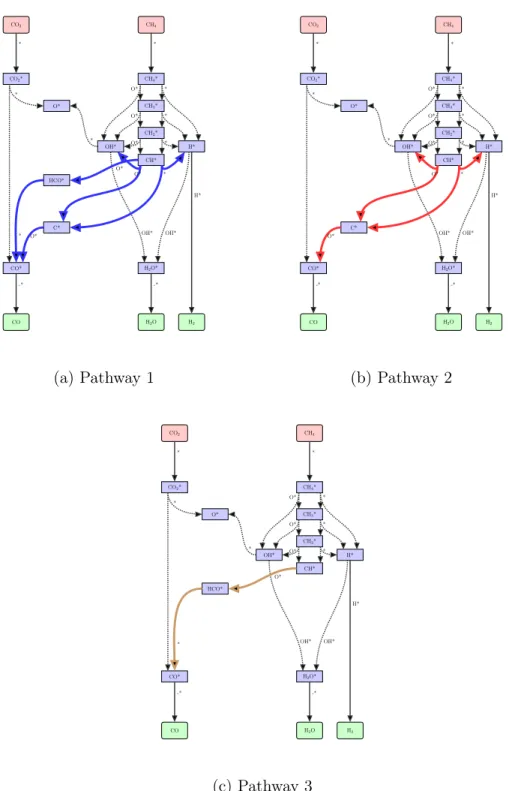 Figure 3-7: Reaction pathways for dry reforming of methane on rhodium (Example 3). Pathway 1 involves both species C* and HCO*, Pathway 2 excludes HCO*, and Pathway 3 excludes C* species