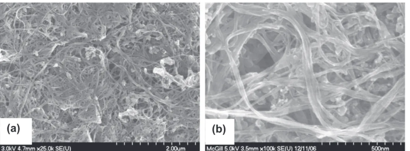 Fig. 1. SEM images of pure buckypaper with (a) 25 K and (b) 100 K magnifications.
