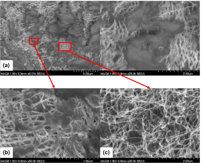 Fig. 5. Cross-sectional view of hot-compression samples. (a) Two distinct regions can be differentiated: a resin-rich region and a non-impregnated region