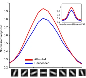 Figure 4: (a) Multiplicative modulation of neuron responses due to spatial attention: The tuning curve undergoes a multiplicative enhancement under attention