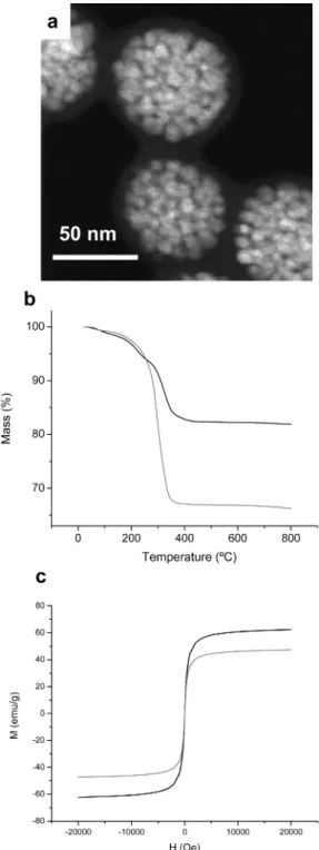 Figure 9b shows that, by adding a shell of 8 nm, the magnetic component of the nanobeads is 66% wt