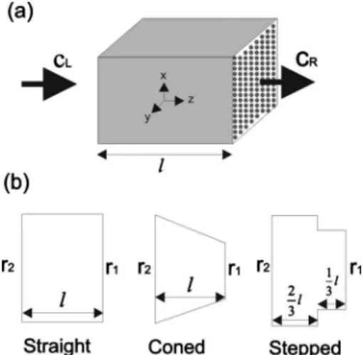 FIG. 2. 共a兲 Unidirectional diffusion process for a segment of a sample and 共b兲 cross-sections used in the calculations for PE-A 共straight兲, PE-B 共coned兲, PE-C 共stepped兲, and laser-drilled 共coned兲 samples.