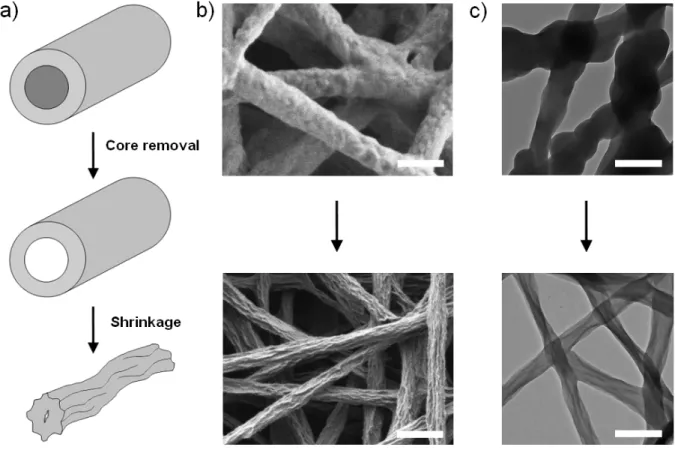Figure 3.  (a) Schematic representation of the proposed nanofibers shrinkage process upon rinsing with  methanol