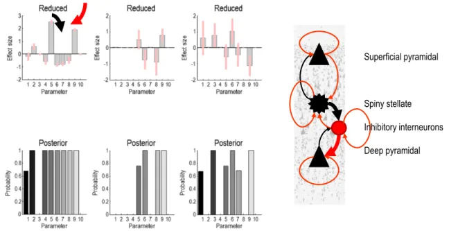 Fig. 4 Posterior estimates obtained using BMR. Second level effects comprised differences in gamma responses with stimulus size and associated gamma peak frequency