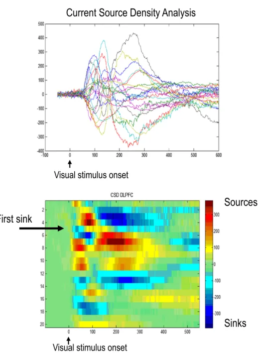 Fig. 5 Current source density channels (top) and profile across channels (bottom). We find that the first active sink corresponds to unipolar channel 7