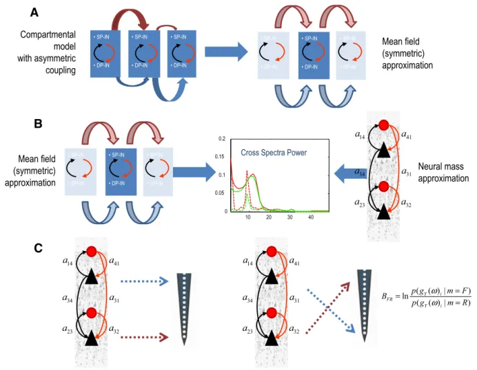 Fig. 1 Schematic of the validation steps. a We first establish the functional equivalence between the model of Jones et al