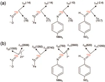 Figure 5. Illustration of the orientations of the 17 O QC (top) and CS (bottom) tensors in the molecular frame of reference determined for (a) NODMA, SnCl 2 Me 2 (NODMA) 2 , ZnCl 2 (NODMA) 2 and (b) NODMA · HCl.