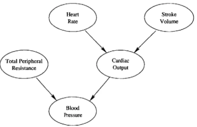 Figure  3-1:  A  simple  Bayesian  Network  model  of  the  cardiovascular  system.