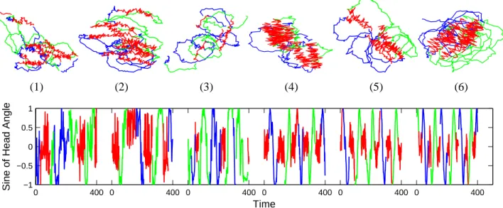 Fig. 4. Top: Trajectories of the dancing honey bees for sequences 1 to 6, colored by waggle (red), turn right (blue), and turn left (green) dances