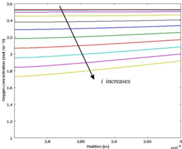 Fig. 5 Oxygen concentration profile in the cathode catalyst layer for the base case