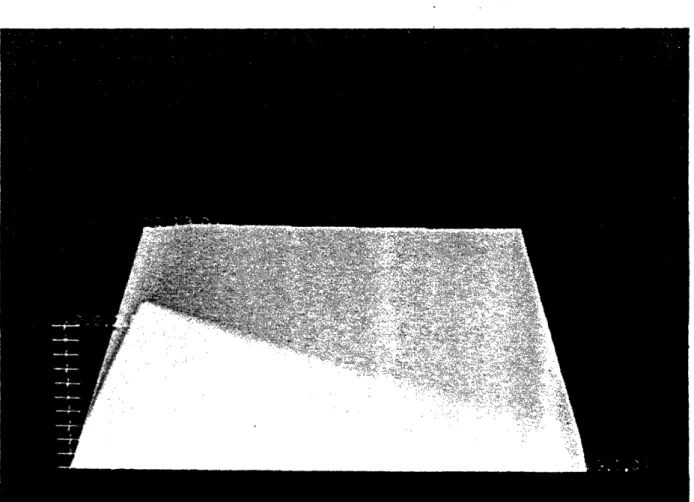 Figure  8:  Initial  Condition  ¢.
