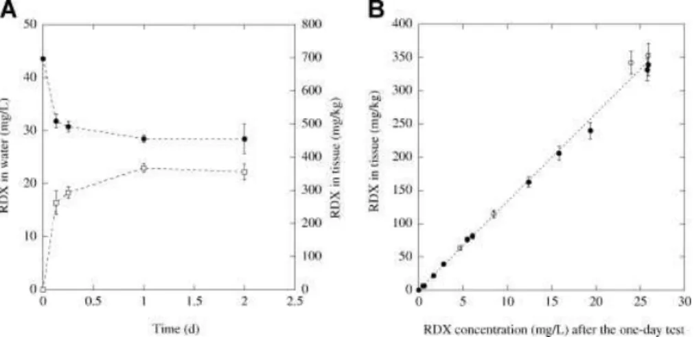 Fig. 3. Uptake of hexahydro-1,3,5-trinitro-1,3,5-triazine (RDX) by earthworms exposed in aqueous media