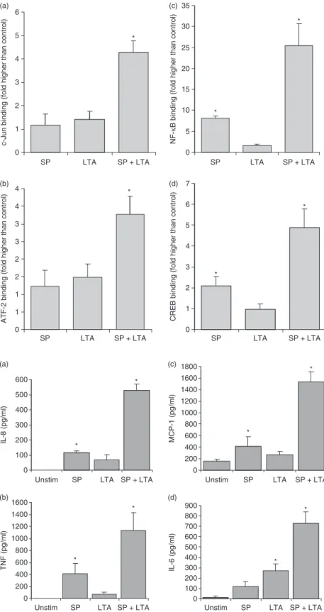 Figure 5. Substance P (SP) primed lipoteichoic acid (LTA)-mediated activation of  transcrip-tion factors