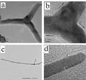 Fig. 14 (a) TEM and (b) HRTEM images of the four-armed Pt nanostructures, showing a single-crystal structure