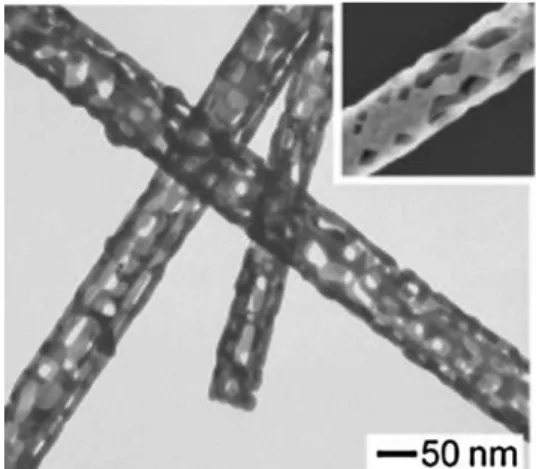 Fig. 20 TEM image of Au nanotubes with porous walls. The inset is an SEM image of the corresponding sample