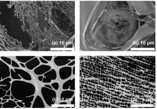 FIG. 12. Details of cell wall ruptures for (a) - aPLA foams obtained in the presence of 1% CE and 9%