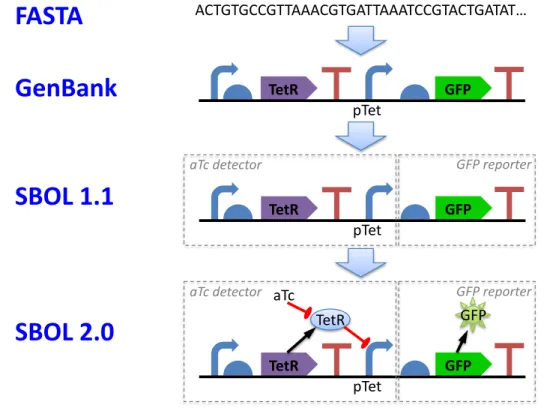 Figure 1: SBOL 2.0 extends prior sequence description formats to represent both the structure and function of a genetic design in a modular, hierarchical manner.