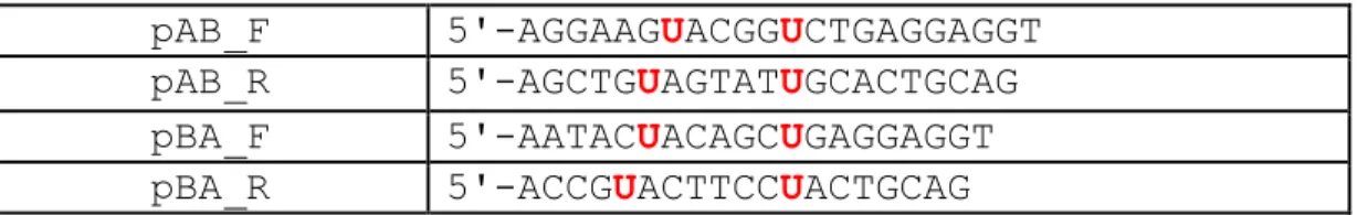 Figure 4. Sequences of universal deoxyuracil-containing primers for AB sticky end  generation