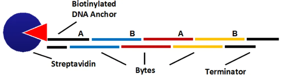 Figure 7.  Assembly of Bytes, showing the individual components. 