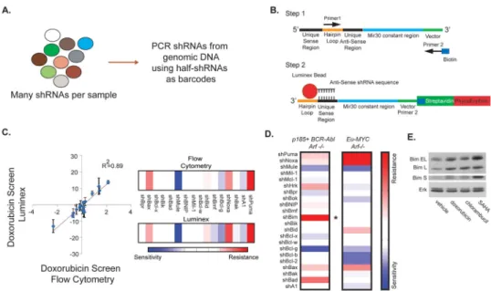 Figure 1. Examining the role of the entire Bcl-2 family in therapeutic response