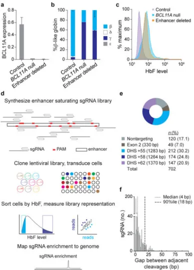 Figure 1. Tiled pooled in situ CRISPR-Cas9 BCL11A enhancer screen