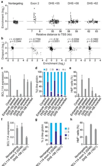 Figure 2. Functional mapping of the BCL11A enhancer