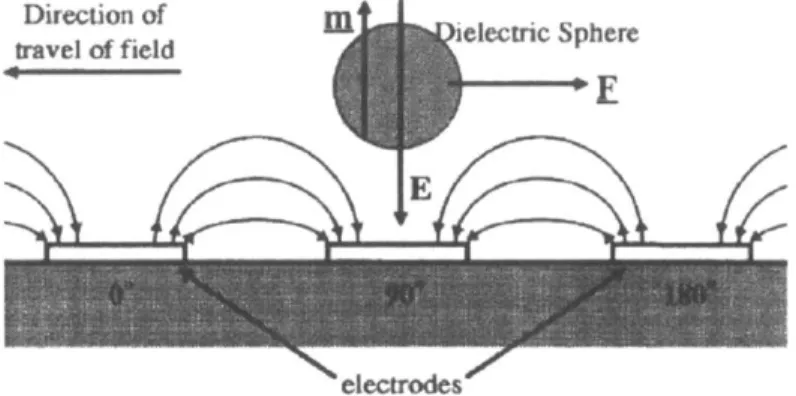 Figure 2-4:  Point  electrode  geometry integrated  into a six-channel  system (image excerpted from  [9]).