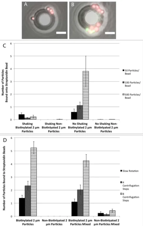 Fig 4. Validation of targeted particle binding at various conditions. (A-B) Images of targeted and non- non-targeted particles bound onto beads after filtration