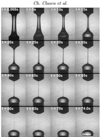 Figure 1. Experimental images of a collapsing liquid bridge of polymer solution in a viscous solvent (plate radius R 0 = 3 mm, distance 13:8 mm)