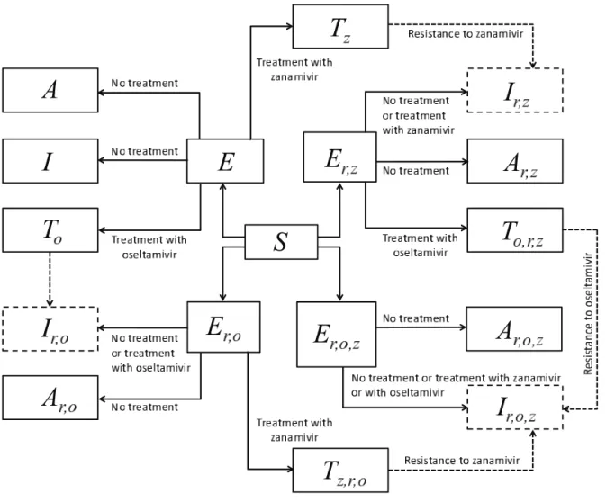 Figure 2: Model diagram (corresponding to Figure 1 in the main text) showing the different path- path-ways of infection with treatment, emergence and transmission of resistant infection