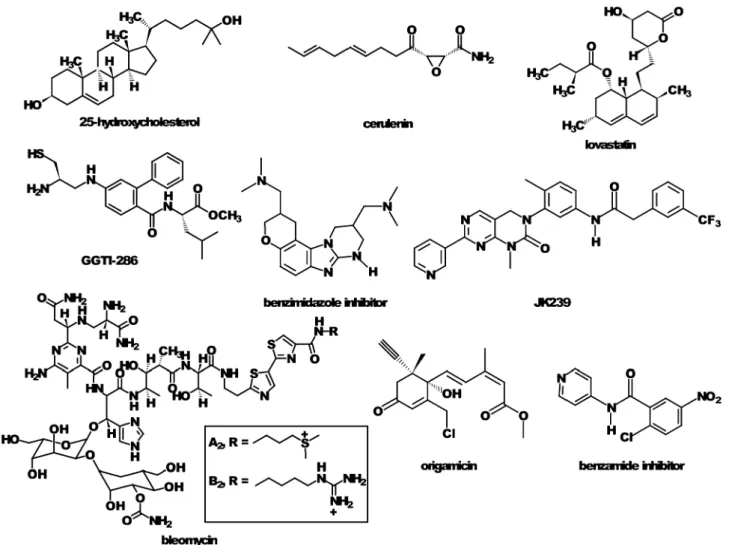 Fig. 4 Examples of small molecules that were discovered to inhibit HCV–host cell interactions necessary for viral propagation.