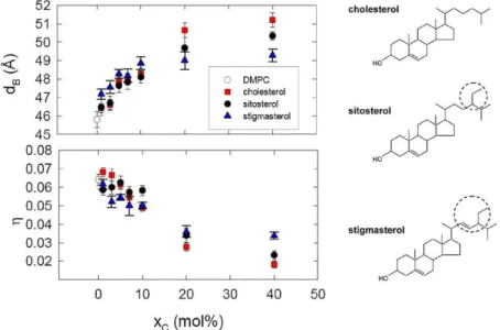 Fig. 9. Membrane thickness d B and the fluctuation parameter  plotted as a function of cholesterol, sitosterol and stigmasterol concentration in DMPC bilayers at 35 ◦ C