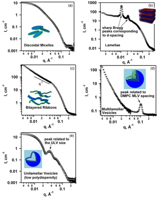 Fig. 12. SANS patterns from the various morphologies (insets) formed by “bicelle” lipid mixtures: a) bilayered disks; b) low-polydispersity ULVs; c) lamellae with a well- well-defined repeat spacing; d) bilayered ribbons, where I(q) ∼ q −1 ; and e) DMPC ML