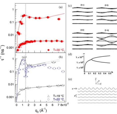 Fig. 5. a) Dispersion relations of fluid phase bilayers at 30 ◦ C. The solid line is a fit to the data using Eq