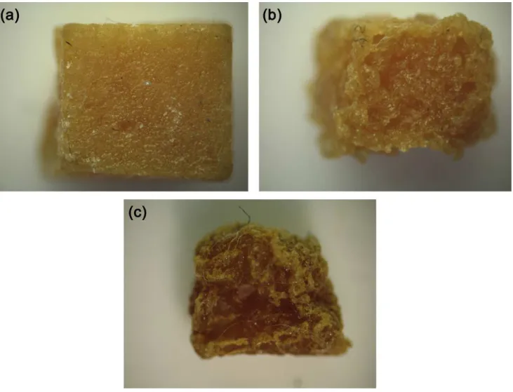 Fig. 5. Microscopic photographs of a piece of GIM non-exposed (a) and exposed for 9 weeks (b) or 47 weeks (c) to a water dripping flow.