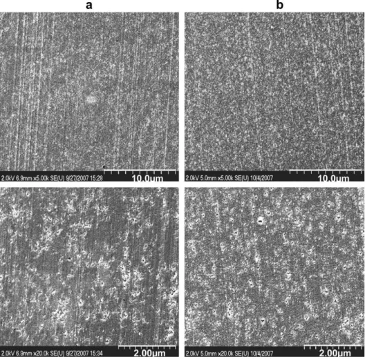 Fig. 4. SEM micrographs of crayon surfaces of PC/5 wt% MWCNT nanocomposites processed in (a) compression molding and (b) micro-injection molding