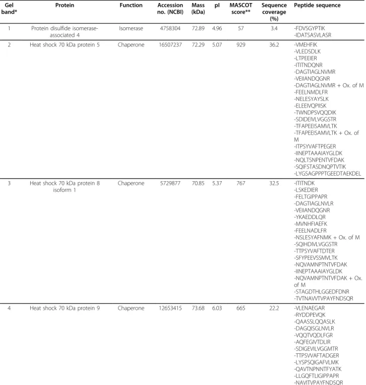 Table 1 Identification of labeled proteins with the PS probe from Figures 3 and 4.