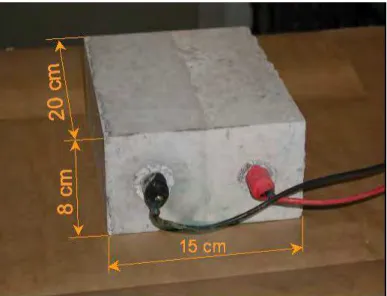 Fig. 1  Photo of concrete specimen used in galvanic coupling test 