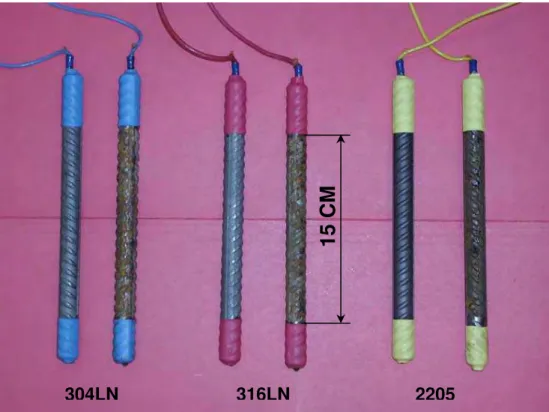 Fig. 2  Photo of SS 304LN, 316LN and 2205 rebars with and without   rust cover prepared for embedding in concrete specimens