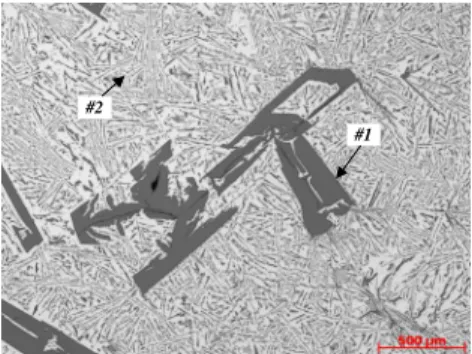 Figure  3.  Optical  micrographs  (50x)  of  the  Al-19%Si  binary  alloy test sample solidified at an average cooling rate of about  0.5 o C/s