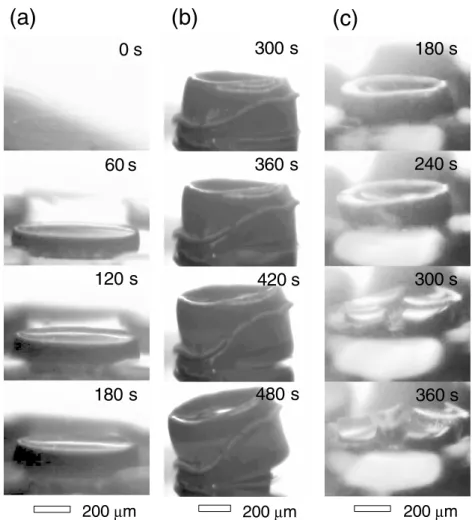 Figure 1. Frames from in situ videos (changed to black and white and contrast-enhanced) showing forests growing and terminating by: (a) stopping uniformly at 900 ◦ C, (b) delaminating at 730 ◦ C and (c) cracking at 720 ◦ C
