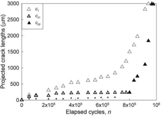 Fig. 14. Short crack propagation in a PM-T6 specimen, r a = 110 MPa and N = 978 kilocycles.