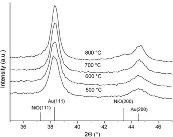 Fig. 3. XRD spectra of nanocomposite films annealed from 500 ◦ C up to 800 ◦ C. The main diffraction line positions of NiO (JCPDS #471049) and Au (JCPDS #040714) are shown at the bottom of the figure.