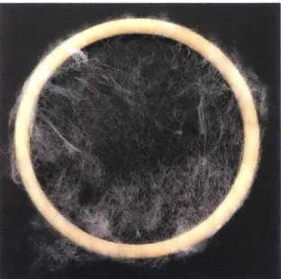Figure 9 - Experimental setting to create  the web.  Figure  10 - Final single layer silkworm silk web.