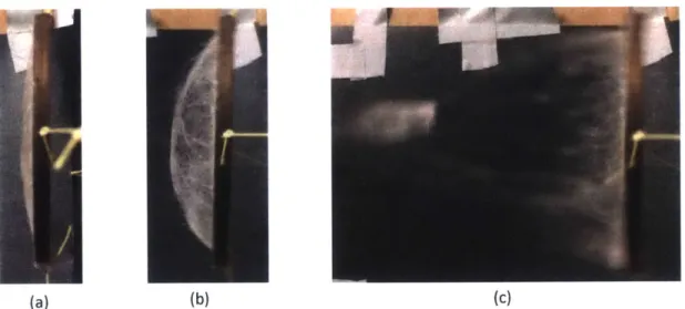 Figure  12 - Wind tunnel experiment: Silkworm web  under increasing wind load until failure.