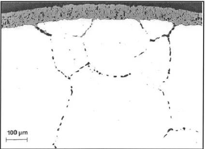 Figure  8.  External oxide  and  internal voids  formed  in  Ni270  after  air exposure  at 1000*C for 200h  [19]