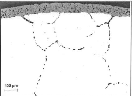 Figure  8.  External oxide  and  internal voids  formed  in  Ni270  after  air exposure  at 1000*C for 200h  [19]
