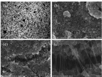 Fig. 2 Microscopy of SWCNT (PK-8) with alum in the absence of fibre.