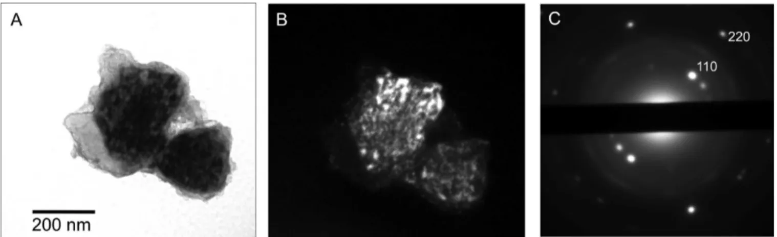 Figure 10. TEM micrographs highlighting R -MgH 2 crystallites in the SWCNT - MgH 2 nanocomposite after 20 sorption cycles: (A) bright field micrograph; (B) dark field micrograph obtained using a g ) 110 R -MgH 2 reflection; (C) corresponding selected area 